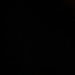 Meet your Posher, Isabella